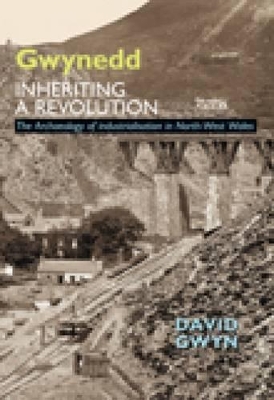 Book cover for Gwynedd, Inheriting a Revolution