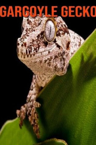 Cover of Gargoyle Gecko