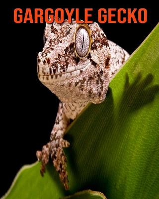 Book cover for Gargoyle Gecko