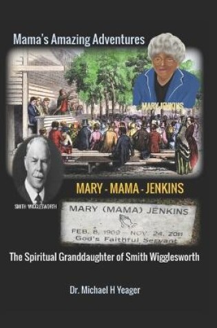 Cover of The Adventures of Mary Mama Jenkins