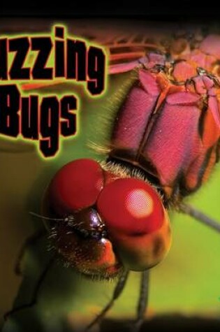 Cover of Buzzing Bugs