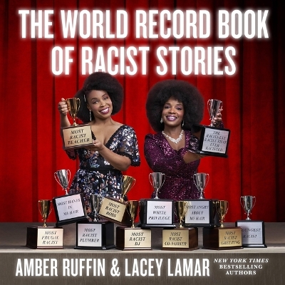 Book cover for The World Record Book of Racist Stories