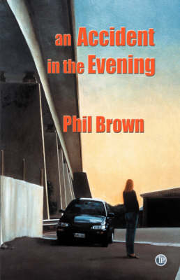 Book cover for An Accident in the Evening