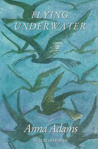 Cover of Flying Underwater