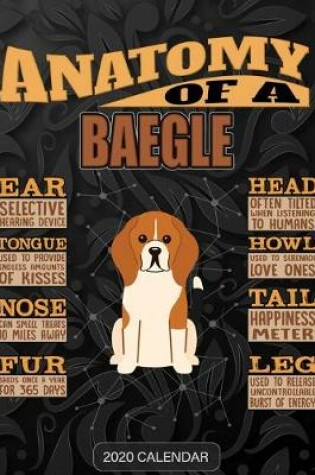 Cover of Anatomy Of A Baegle