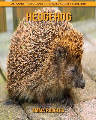 Book cover for Hedgehog