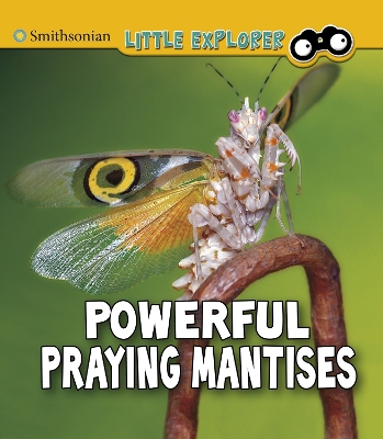 Book cover for Powerful Praying Mantises