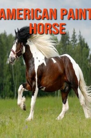 Cover of American Paint Horse