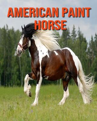 Cover of American Paint Horse