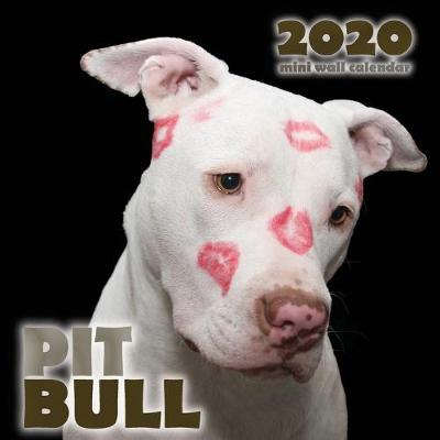 Cover of Pit Bull 2020 Mini Wall Calendar