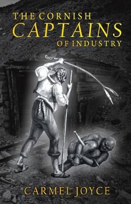 Book cover for The Cornish Captains of Industry