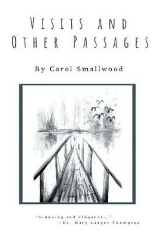 Cover of Visits and Other Passages