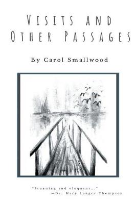 Book cover for Visits and Other Passages