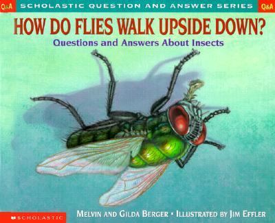 Book cover for How Do Flies Walk Upside down? (Hc)