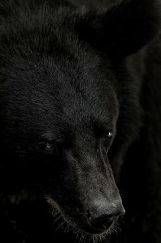 Cover of Black Bear Portrait Journal