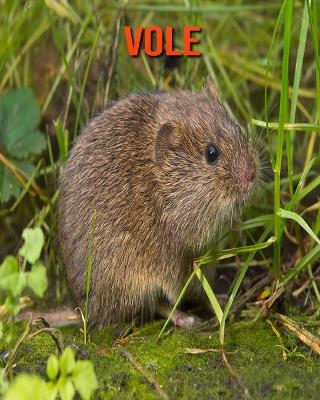 Book cover for Vole