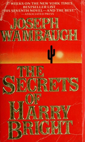 Book cover for Secrets/Harry/Bright