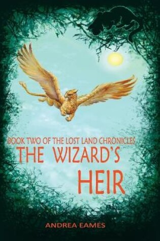 Cover of The Wizard's Heir