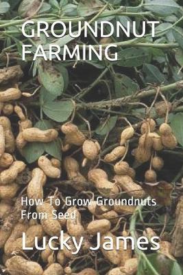 Book cover for Groundnut Farming