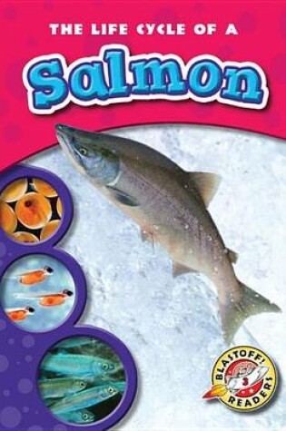 Cover of The Life Cycle of a Salmon