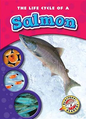 Cover of The Life Cycle of a Salmon