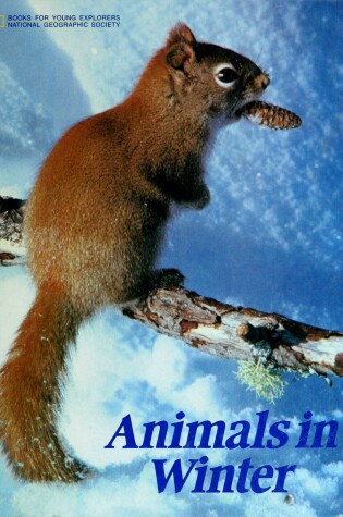 Cover of Animals in Winter