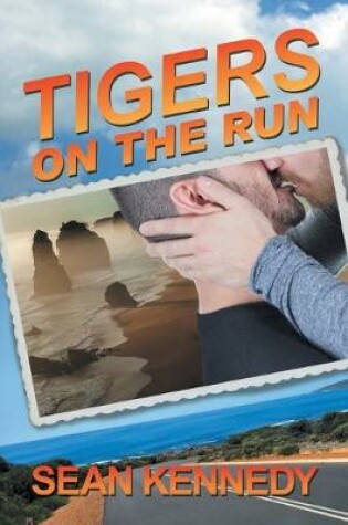 Cover of Tigers on the Run