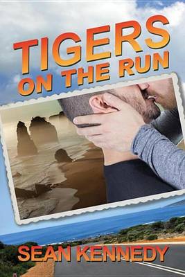 Book cover for Tigers on the Run