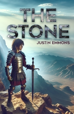 Book cover for The Stone