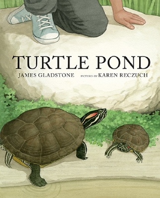 Book cover for Turtle Pond