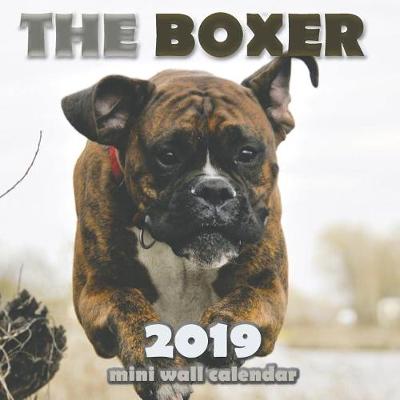 Book cover for The Boxer 2019 Mini Wall Calendar