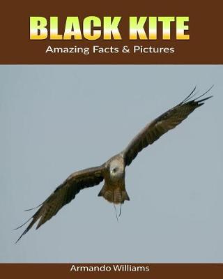 Book cover for Black Kite