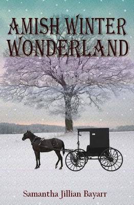 Book cover for Amish Winter Wonderland