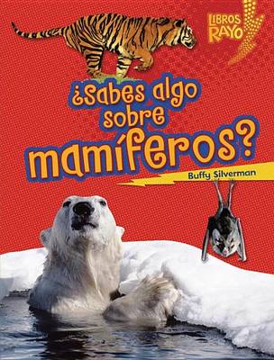 Book cover for Sabes Algo Sobre Mamiferos? (Do You Know about Mammals?)