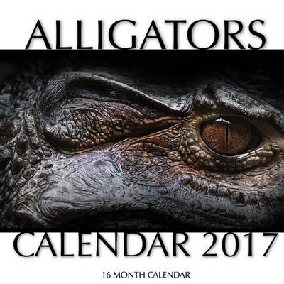 Book cover for Alligators Calendar 2017