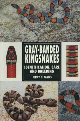 Cover of Grey-banded Kingsnakes