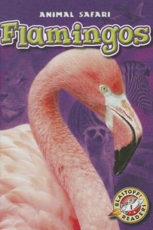 Cover of Flamingos
