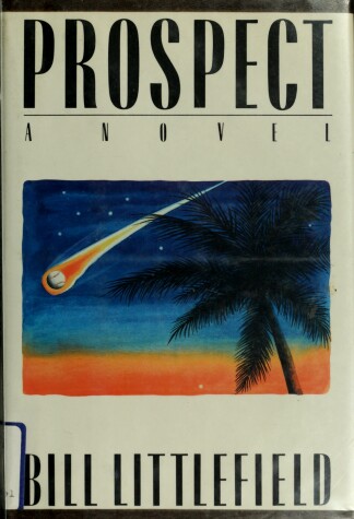 Book cover for Prospect