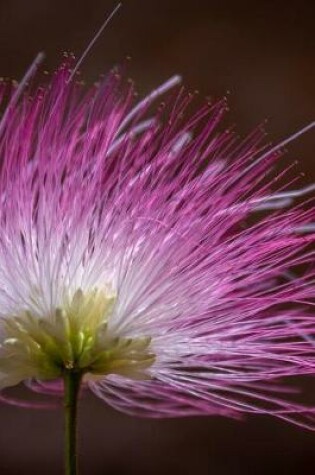 Cover of Pink Blossom Illuminated Journal