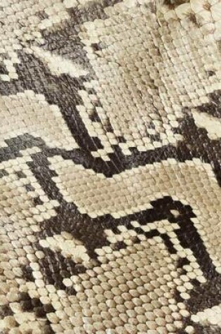 Cover of Snakeskin Pattern 2, Jumbo Oversized