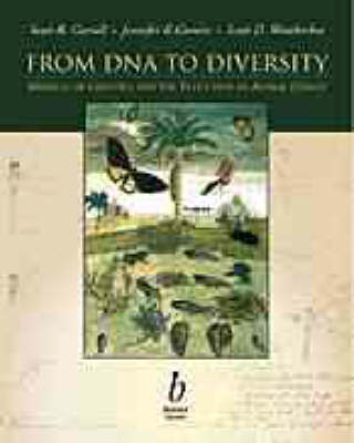 Book cover for From DNA to Diversity