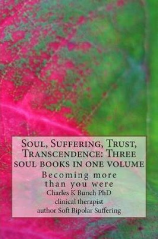 Cover of Soul, Suffering, Trust, Transcendence