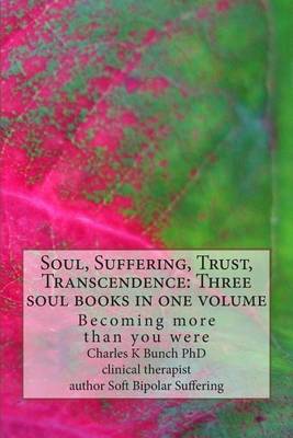 Book cover for Soul, Suffering, Trust, Transcendence