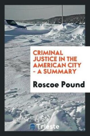 Cover of Criminal Justice in the American City - A Summary