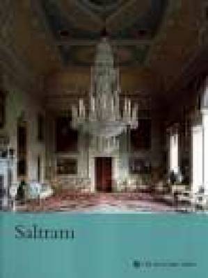 Book cover for Saltram