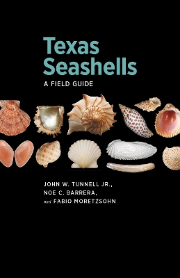 Cover of Texas Seashells