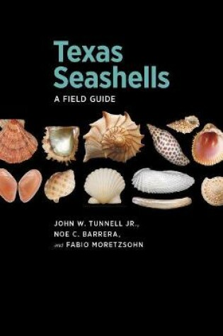 Cover of Texas Seashells