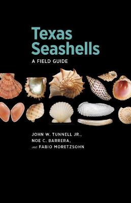 Book cover for Texas Seashells