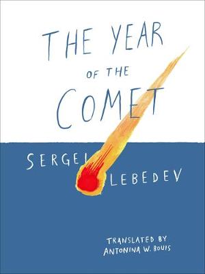 Book cover for The Year of the Comet