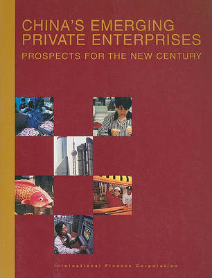 Book cover for China's Emerging Private Enterprises